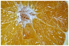 Cambridge Distillery (Gin) 02  Half an Orange