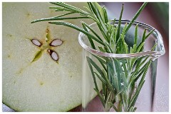 Cambridge Distillery (Gin) 04  Apple and Rosemary