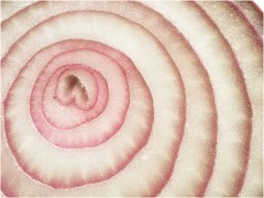 Fun with Food 04