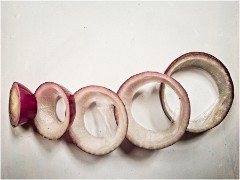 Fun with Food 07