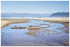 Oregon  01  Cannon Beach