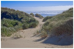 Oregon  32  In the Sand Dunes of Nahalem Bay