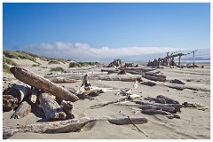 Oregon  33  Nahalem Beach