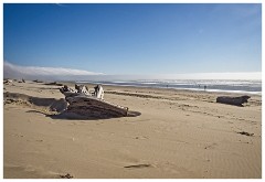 Oregon  34  Nahalem Beach