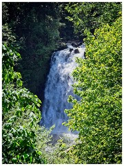 Oregon  58  Spray from the Youngs River Falls