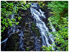 Oregon  61  The Fishhawk Falls