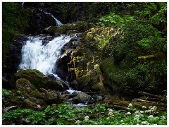 Oregon  62  The Fishhawk Falls