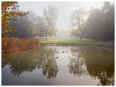 October Brandon Country Park and Hatfield Forest