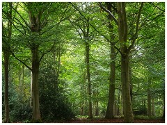 Norfolk  15  Felbrigg Hall