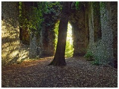 Norfolk  21  St Mary's Church Ruin Somerton