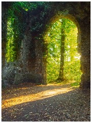 Norfolk  22  St Mary's Church Ruin Somerton