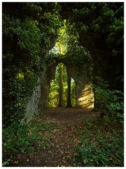 Norfolk  24  Somerton