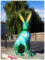 Norwich 13