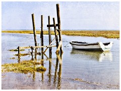 Norfolk 17  Thornham