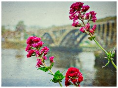 Berwick on Tweed 05  River Bridge