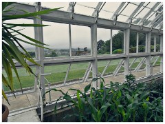 Cragside 16  The Greenhouse
