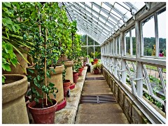 Cragside 17  The Greenhouse
