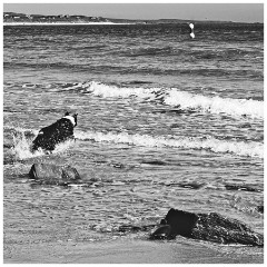 19 06 27 Northumberland  EMA2561  Playing on the Beach