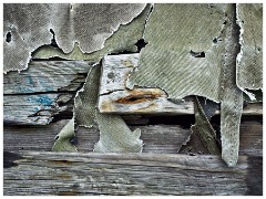 Lindisfarne Island 04  Decay