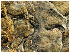 Seahouses and Beadnell Bay 10  Rock Patterns