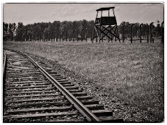 Auschwitz 07  Birkenau Watch Tower