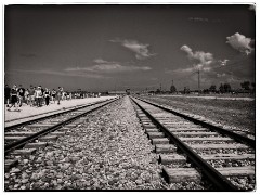 Auschwitz 11  Gate of Death at Birkenau