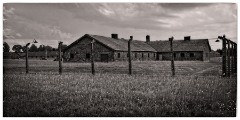 Auschwitz 12  Female Living Quarters Birkenau