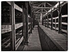 Auschwitz 13  Beds at Birkenau