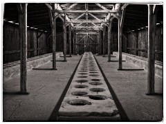 Auschwitz 14  Toilets at Birkenau - prisoners were allowed 10 seconds to use them