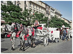 Krakow 069 Rynek Glowny 06  Very decorative Horses and carriages
