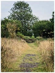 Clare Castle Country Park 05  End of the Railway Walk