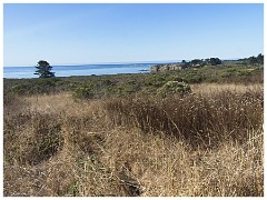 Santa Cruz 012  Ano Nuevo State Park