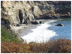 Santa Cruz 015  Ano Nuevo State Park