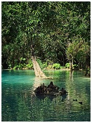 Luang Prabang Day Two 45  The Turquoise Pools at Kuang Si Park