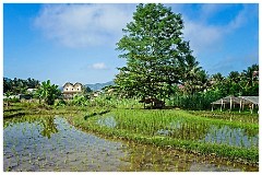 Luang Prabang Day 3 06  The Living Land Farm