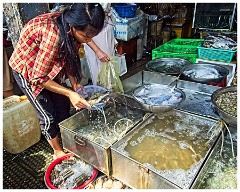 Phnom Penh 18  Central Market