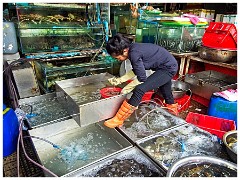 Phnom Penh 19  Central Market