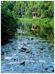 Phnom Penh 61  The Peaceful Lake