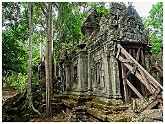 Siem Reap Day Two 10  Hidden Jungle Temple
