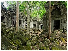 Siem Reap Day Two 13  Hidden Jungle Temple