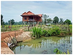Siem Reap Day Two 15  Journey to the Hidden Jungle Temple by Ox Cart