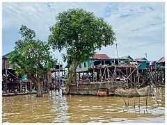 Siem Reap Day Two 23  Cruise on Tonle Sap Lake with its Floating Villages