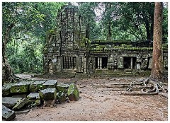 Siem Reap Day Four 15  La Prohm Temple