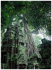 Siem Reap Day Four 23  La Prohm Temple