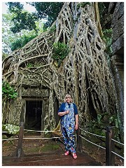 Siem Reap Day Four 28  La Prohm Temple - Location for the Film Tomb Raider