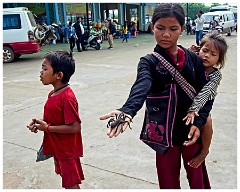 The Chinese Road to Siem Reap 02  Spiders and Bugs in the Village of Skun