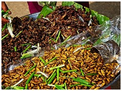 The Chinese Road to Siem Reap 08  Bugs for Sale Ready to Eat