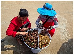 The Chinese Road to Siem Reap 10  Buying her Insects