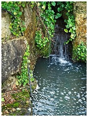 RHS Wisley 04