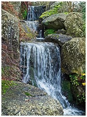 RHS Wisley 05